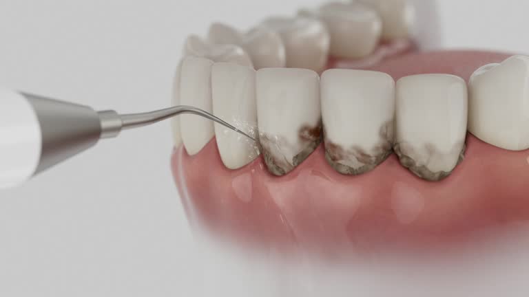 Reliable Dental contractor in St. Martin, MS by Dentist Open Now